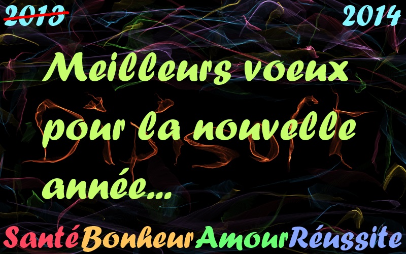 voeux_dipisoft_2014.jpg